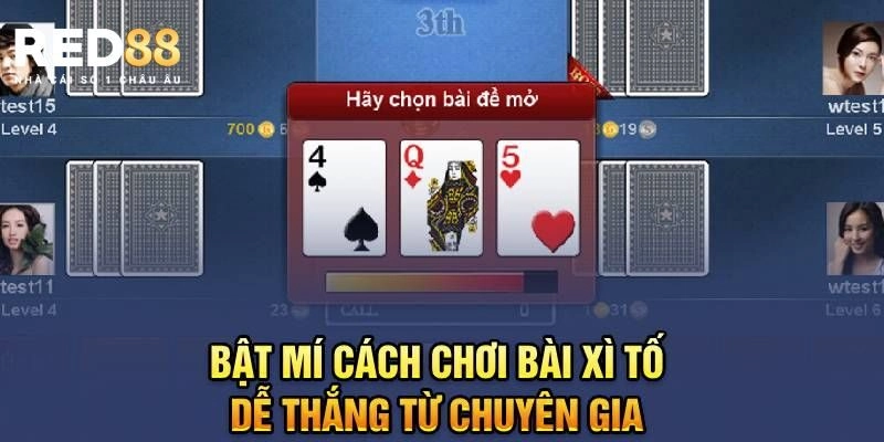 Xì Tố - Những Điều Cần Biết Dành Cho Người Mới Tham Gia Red88